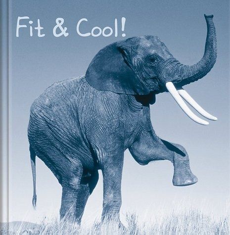 Fit & Cool!