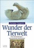 Wunder der Tierwelt