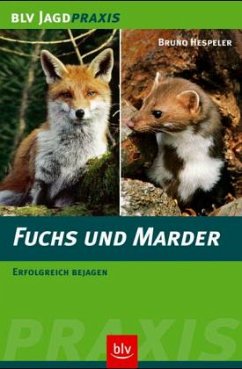 Fuchs und Marder - Hespeler, Bruno