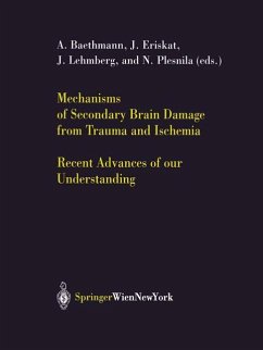 Mechanisms of Secondary Brain Damage from Trauma and Ischemia - Baethmann, Alexander / Eriskat, Jörg / Lehmberg, Jens / Plesnila, Nikolaus (eds.)