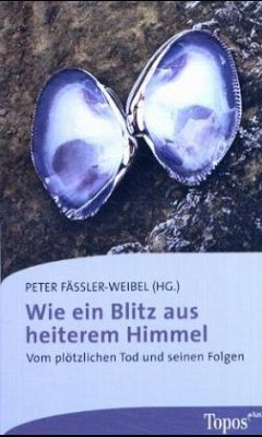 Cover Wie ein Blitz aus heiterem Himmel