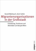 Migrantenorganisationen in der Großstadt