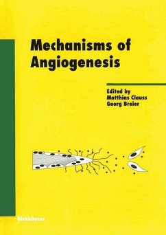 Mechanisms of Angiogenesis - Clauss, Matthias / Breier, Georg (eds.)