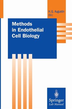 Methods in Endothelial Cell Biology - Augustin, Hellmut (ed.)