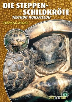 Steppenschildkröte - Wilms, Thomas