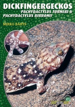 Dickfingergeckos - Barts, Mirko