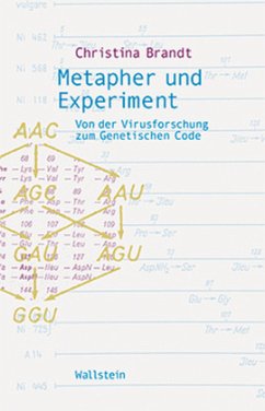 Metapher und Experiment - Brandt, Christina