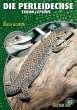 Perleidechse - Bild 1