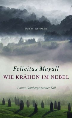 Wie Krähen im Nebel / Laura Gottberg Bd.2 - Mayall, Felicitas