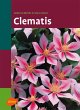 Clematis - Bild 1