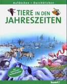 Tiere in den Jahreszeiten