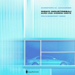 Risiko Industriebau - Euro und andere Werte - Achammer, Christoph M. (Hrsg.)