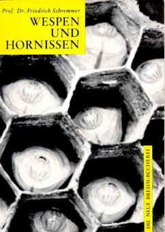 Wespen und Hornissen - Schremmer, Friedrich