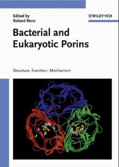 Bacterial and Eukaryotic Porins