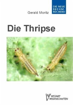 Thripse - Fransenflügler, Thysanoptera - Moritz, Gerald