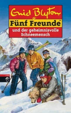 Fünf Freunde und der geheimnisvolle Schneemensch / Fünf Freunde Bd.41 - Blyton, Enid