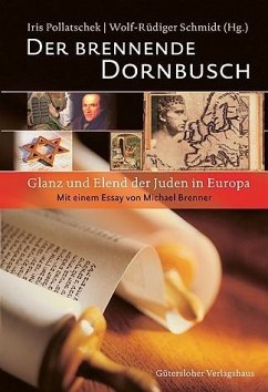 Der brennende Dornbusch - Pollatschek, Iris / Schmidt, Wolf-Rüdiger (Hgg.)