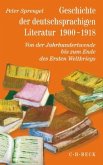 Geschichte der deutschen Literatur Bd. 9/2: Geschichte der deutschsprachigen Literatur 1900-1918 / Geschichte der deutschen Literatur von den Anfängen bis zur Gegenwart 9/2