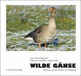 Wilde Gänse