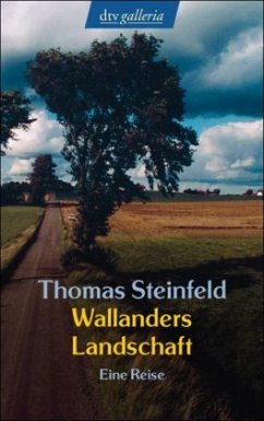 Wallanders Landschaft - Steinfeld, Thomas