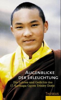 Cover Augenblicke der Erleuchtung