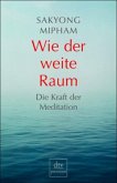 Wie der weite Raum