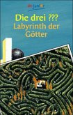 Die drei Fragezeichen Labyrinth der Götter / Bd.91