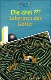 Die drei Fragezeichen Labyrinth der Götter / Bd.91 Die drei Fragezeichen Labyrinth der Götter / Bd.91