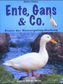 Ente, Gans & Co.