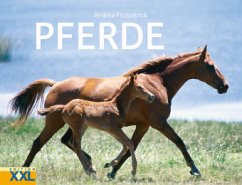 Cover Pferde