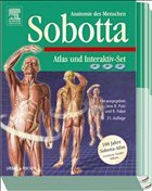 Anatomie des Menschen, 2 Bde. u. 3 CD-ROMs - Sobotta, Johannes