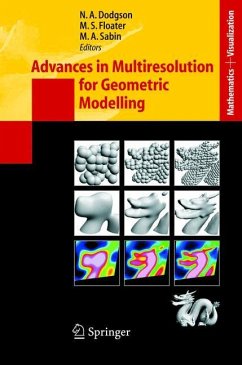 Advances in Multiresolution for Geometric Modelling - Dodgson, Neil / Floater, Michael S. / Sabin, Malcolm (eds.)