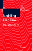 Modelling Fluid Flow