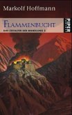 Flammenbucht / Das Zeitalter der Wandlung Bd.2