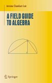 A Field Guide to Algebra