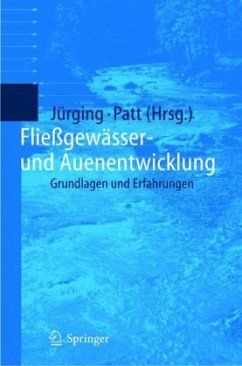 Fließgewässer- und Auenentwicklung - Jürging, Peter / Patt, Heinz (Hgg.)