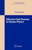 Effective Field Theories in Flavour Physics