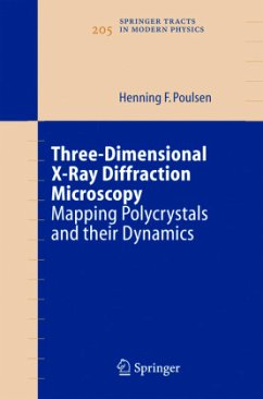 Three-Dimensional X-Ray Diffraction Microscopy - Poulsen, Henning Friis