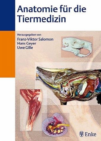 Anatomie für die Tiermedizin von F.-V. Salomon / U. Gille / H. Geyer (Hgg.)  portofrei bei bücher.de bestellen