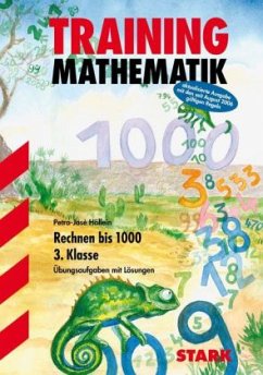 Rechnen bis 1000, 3. Klasse - Höllein, Petra-José