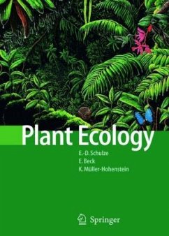 Plant Ecology - Schulze, Ernst-Detlef;Müller-Hohenstein, Klaus;Beck, Erwin