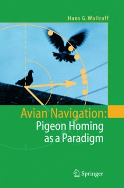 Avian Navigation: Pigeon Homing as a Paradigm - Wallraff, Hans G.
