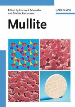 Mullite - Schneider, Hartmut / Komarneni, Sridhar (eds.)