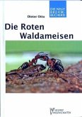 Die Roten Waldameisen