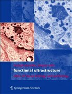 Functional Ultrastructure - Pavelka, Margit / Roth, Jürgen