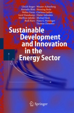 Sustainable Development and Innovation in the Energy Sector - Steger, Ulrich;Achterberg, Wouter;Blok, Kornelis