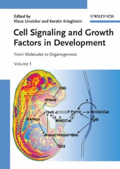 Cell Signaling and Growth Factors in Development, 2 Vols. - Unsicker, Klaus