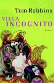 Villa Incognito