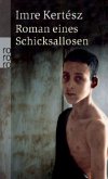 Roman eines Schicksallosen