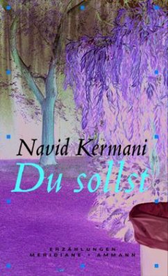 Du sollst - Kermani, Navid